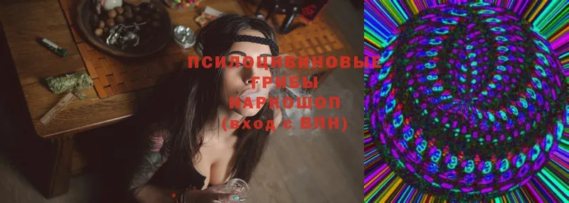 Галлюциногенные грибы Magic Shrooms  Красноуфимск 